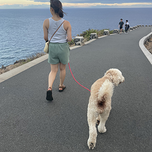 Doggy Homestay