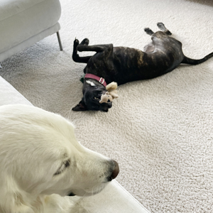 Daycare