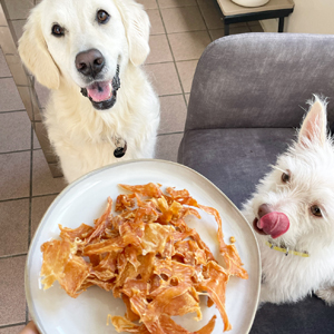 Doggy Homestay