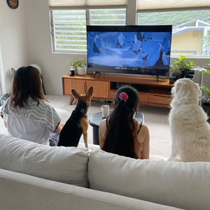 Doggy Homestay